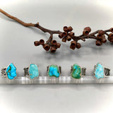 The Squiggle Signet Ring- Size 8- Royston Turquoise and Sterling Silver