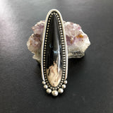 Huge Palm Root Talon Ring or Pendant- 2.75" Sterling Silver and Petrified Palm Root- Finished to Size