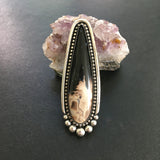 Huge Palm Root Talon Ring or Pendant- 2.75" Sterling Silver and Petrified Palm Root- Finished to Size