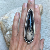 XXL Palm Root Talon Ring or Pendant- 3" Sterling Silver and Petrified Palm Root- Finished to Size