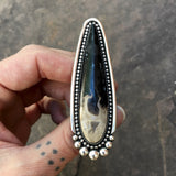 XXL Palm Root Talon Ring or Pendant- 3" Sterling Silver and Petrified Palm Root- Finished to Size