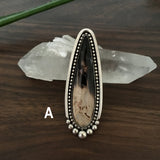 Made-to-Order Petrified Palm Root Talon Ring