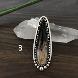 Made-to-Order Petrified Palm Root Talon Ring