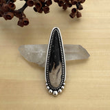 XXL Petrified Palm Root Talon Ring or Pendant- Sterling Silver- Finished to Size