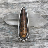 Large Deschutes Jasper Talon Ring or Pendant- Sterling Silver and Deschutes Jasper- Finished to Size