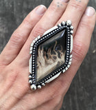 Huge Petrified Palm Root Ring- Sterling Silver and Palm Root- Finished to Size