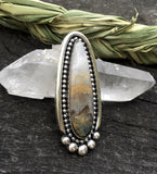 Large Prudent Man Agate Talon Ring- Sterling Silver and Agate Statement Ring- Finished to Size