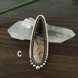 Made-to-Order Petrified Palm Root Talon Ring