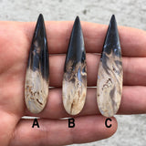 Made-to-Order Petrified Palm Root Talon Ring