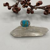 The Elements Signet Ring- Size 10- Fox Turquoise and Sterling Silver