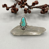 The Sprout Ring- Size 7- Natural Royston Turquoise and Sterling Silver