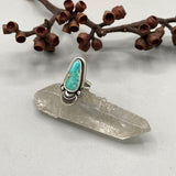 The Sprout Ring- Size 7- Natural Royston Turquoise and Sterling Silver