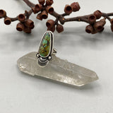 The Sprout Ring- Size 8- Bamboo Mountain Turquoise and Sterling Silver