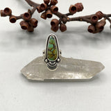 The Sprout Ring- Size 8- Bamboo Mountain Turquoise and Sterling Silver