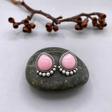 The Halo Earrings- Pink Conch Shell and Sterling Silver