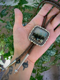 The Northern Lights Bolo- Plume Agate and Sterling Silver Bolo