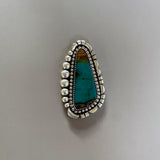 The Laguna Ring- Opalized Petrified Wood and Sterling Silver- Finished to Size or as a Pendant