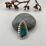 The Laguna Ring- Opalized Petrified Wood and Sterling Silver- Finished to Size or as a Pendant