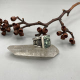 The Poseidon Signet Ring- Fits Size 10- Natural High-Grade Poseidon Variscite and Sterling Silver