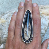 Large Palm Root Talon Ring or Pendant- 2.5" Sterling Silver and Petrified Palm Root- Finished to Size