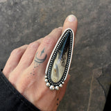 Large Palm Root Talon Ring or Pendant- 2.5" Sterling Silver and Petrified Palm Root- Finished to Size