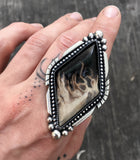 Huge Petrified Palm Root Ring- Sterling Silver and Palm Root- Finished to Size