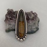 Large Picture Jasper Talon Ring or Pendant- Sterling Silver and Landscape Jasper- Finished to Size