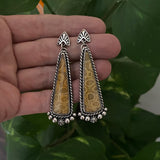 Fossilized Coral Celestial Earrings- Sterling Silver and Fossil Coral