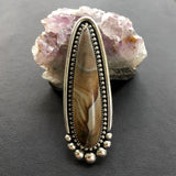 Large Picture Jasper Talon Ring or Pendant- Sterling Silver and Desert Picture Jasper- Finished to Size