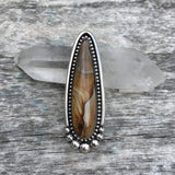 Large Picture Jasper Talon Ring or Pendant- Sterling Silver and Desert Picture Jasper- Finished to Size