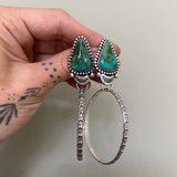 Royston Turquoise and Sterling Silver Hoop Earrings- Post Earrings for Pierced Ears
