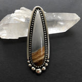 Huge Picture Jasper Talon Ring or Pendant- Sterling Silver and Desert Picture Jasper- Finished to Size