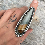 Huge Picture Jasper Talon Ring or Pendant- Sterling Silver and Desert Picture Jasper- Finished to Size