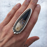 Made-to-Order Petrified Palm Root Talon Ring