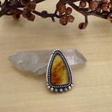 Large Amber Celestial Ring- Sterling Silver and Mayan Amber - Finished to Size